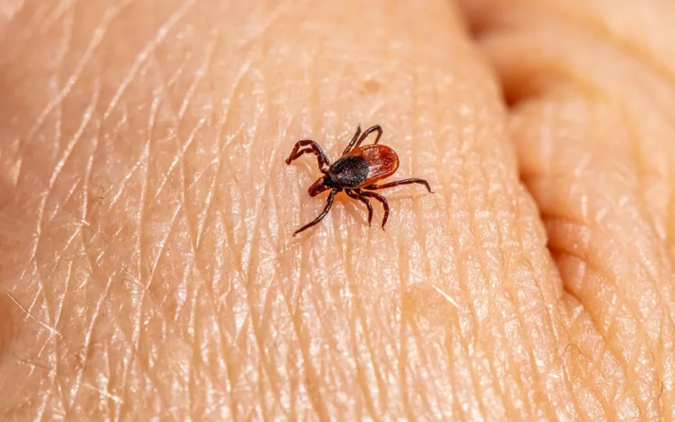 ilustrační foto.