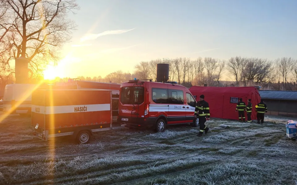 V Blatné kvůli ptačí chřipce začala likvidace 13 tisíc kachen