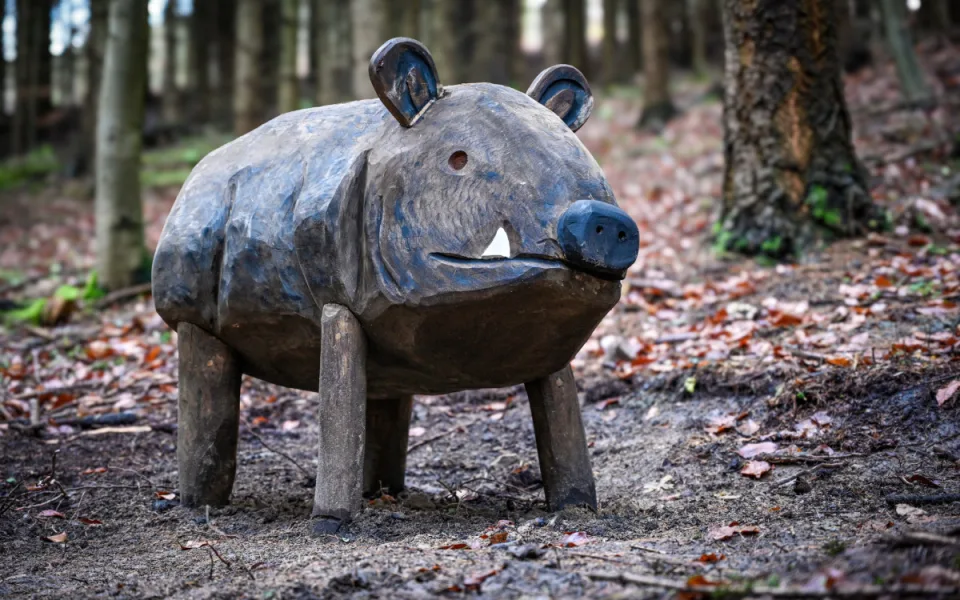 Skřítek Pimon provází děti v Píseckých horách. Na nové stezce potkají vydru i divoké prase