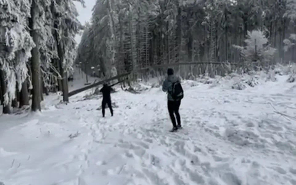Na Kleti spadl strom na lanovku, těsně minul dva turisty