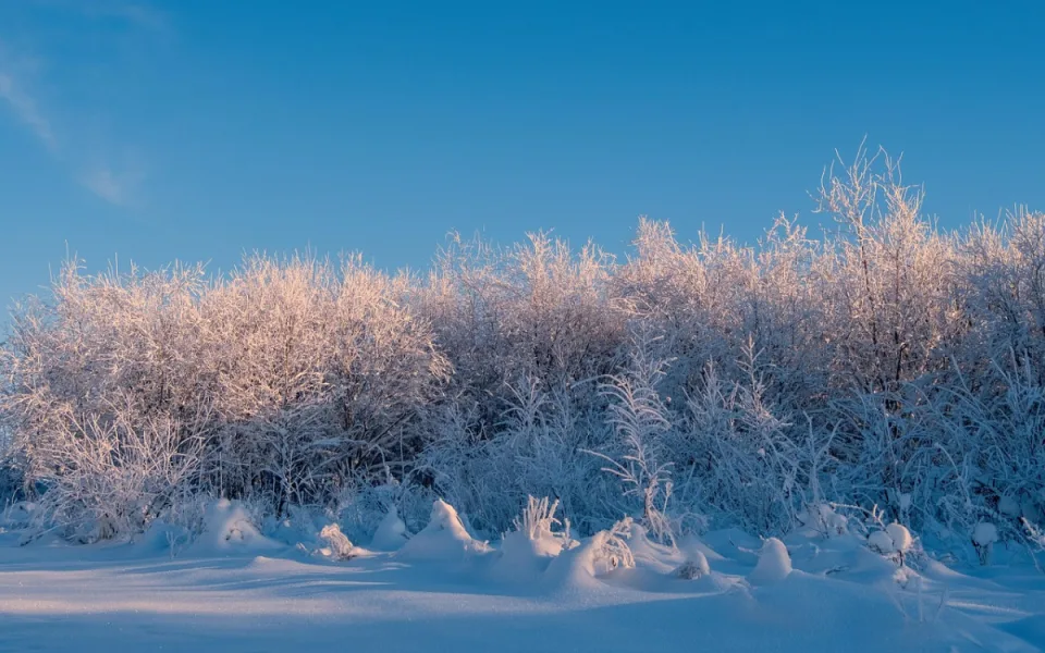 Na Kvildě ráno naměřili minus 30,6 stupně. Česko čeká mrazivý týden