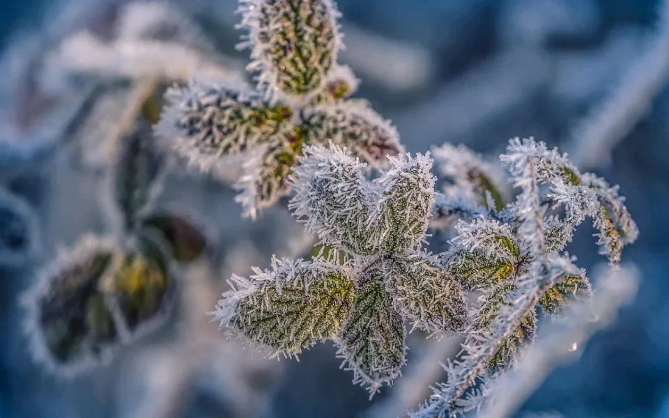U Kvildy naměřili minus 30 stupňů. Další dny už se bude oteplovat
