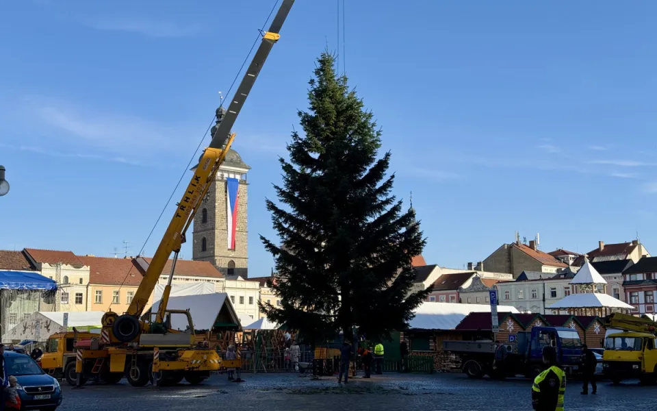 Vánoční jedle se loučí. Z budějovického náměstí zmizí v pondělí 12. ledna