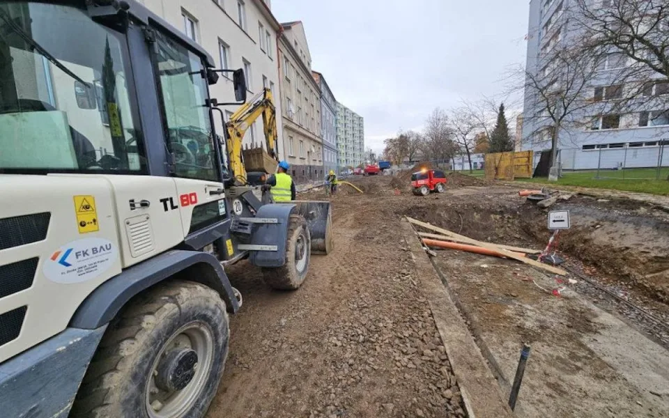Strakonice vysází 92 nových stromů. Nahradí dřeviny vykácené při opravách silnic