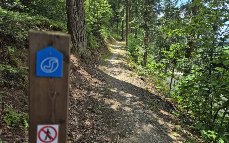 Prachatice rozjíždějí druhou etapu trailů na Libíně. Nové trasy přilákají cyklisty už koncem léta