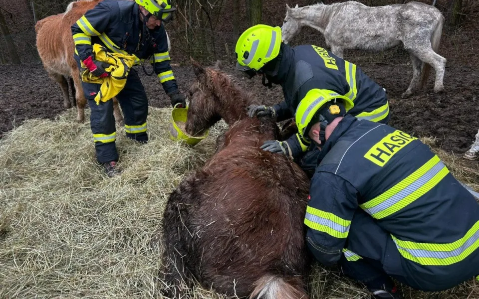 Hasiči v Noskově zachraňovali koně. Na pomoc vyrazil i jeřáb