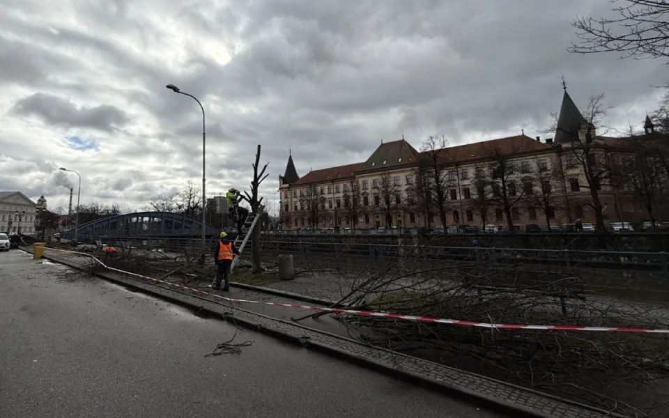 Stromy u Malše padly. Ustupují nové náplavce