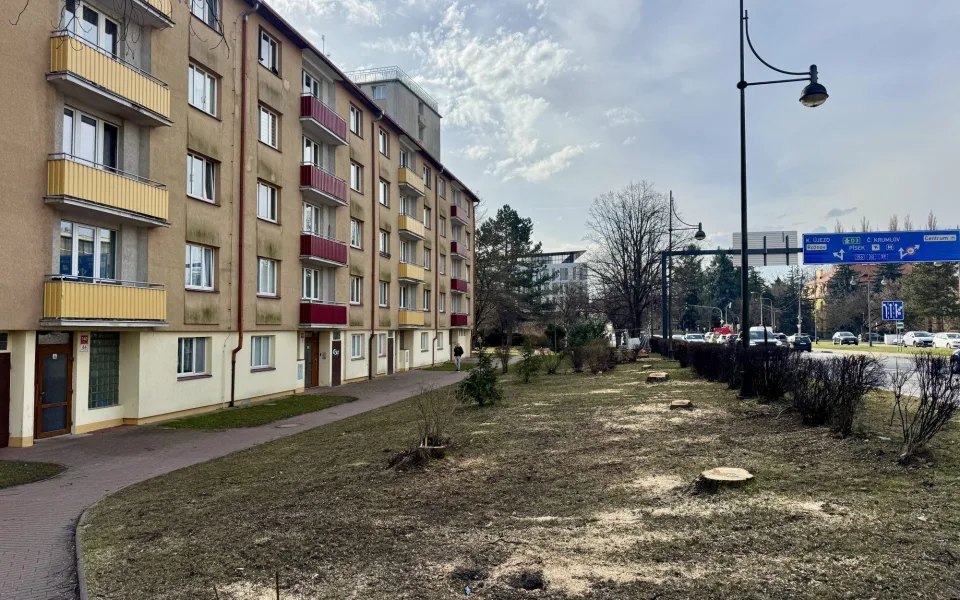 Devět javorů u mostu Kosmonautů šlo k zemi. Stromy ustoupily stavbě nového mostu