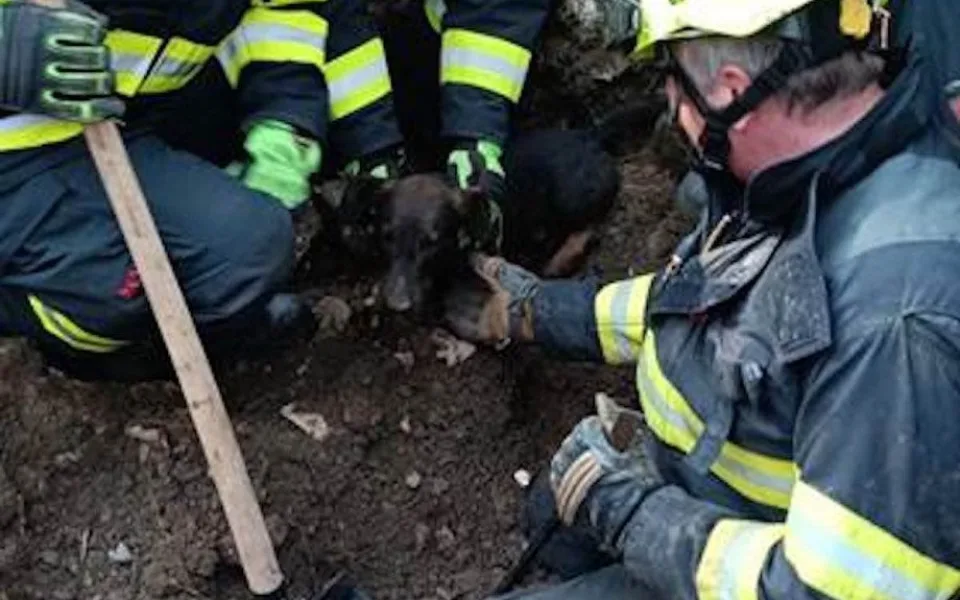 Jezevčík Eda uvízl v liščí noře. Hasiči ho museli vykopat bagrem