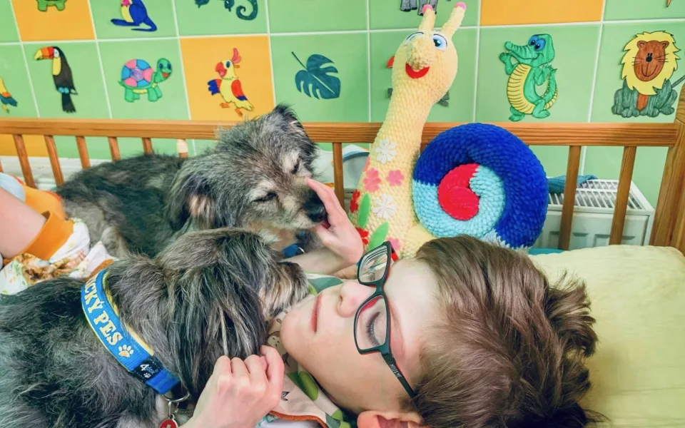 Canisterapie pomáhá zlepšovat psychickou i fyzickou pohodu klientů