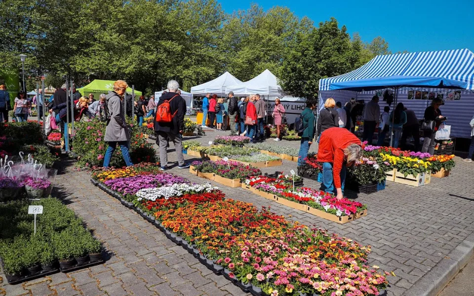 Sezona veletrhů začíná. Na výstaviště dorazí inspirace pro dům, zahradu i cestování