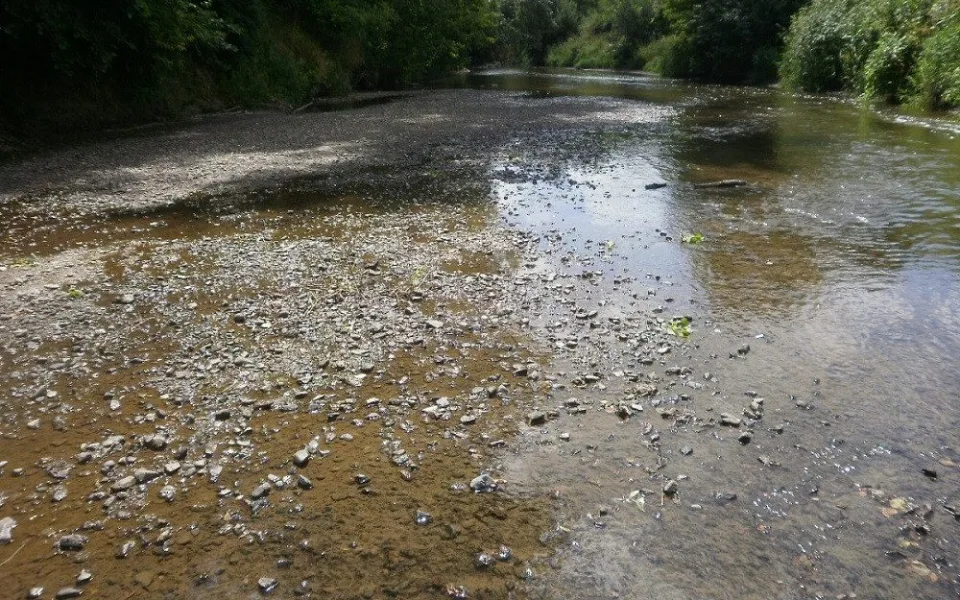 Na řadě jihočeských řek je sucho, situace je podle hydrologů nejhorší v ČR