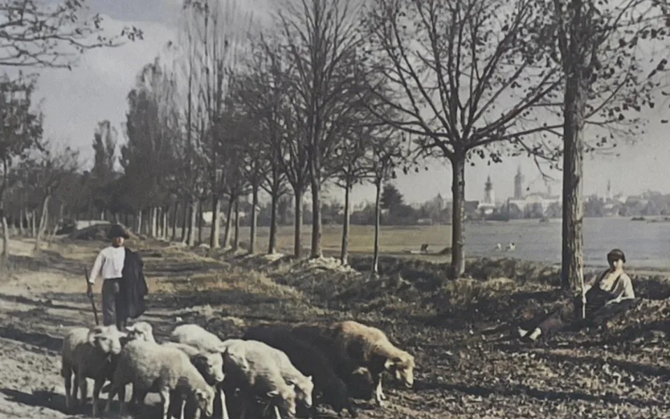 Málokdo ví, že Dlouhá louka původně označovala rozlehlou plochu, na níž se ještě v polovině 20. století pásl dobytek a zemědělsky se hospodařilo.