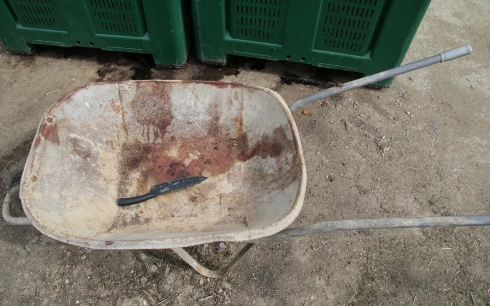 Policie dopadla zloděje, kteří na farmě u Týna nad Vltavou zabili a ukradli několik prasat