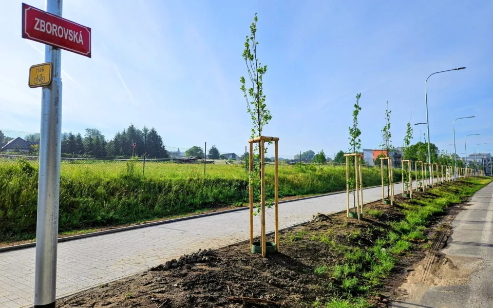 Písek vysadil 300 nových stromů. Zeleň přibyla u cyklostezek i v ulicích města