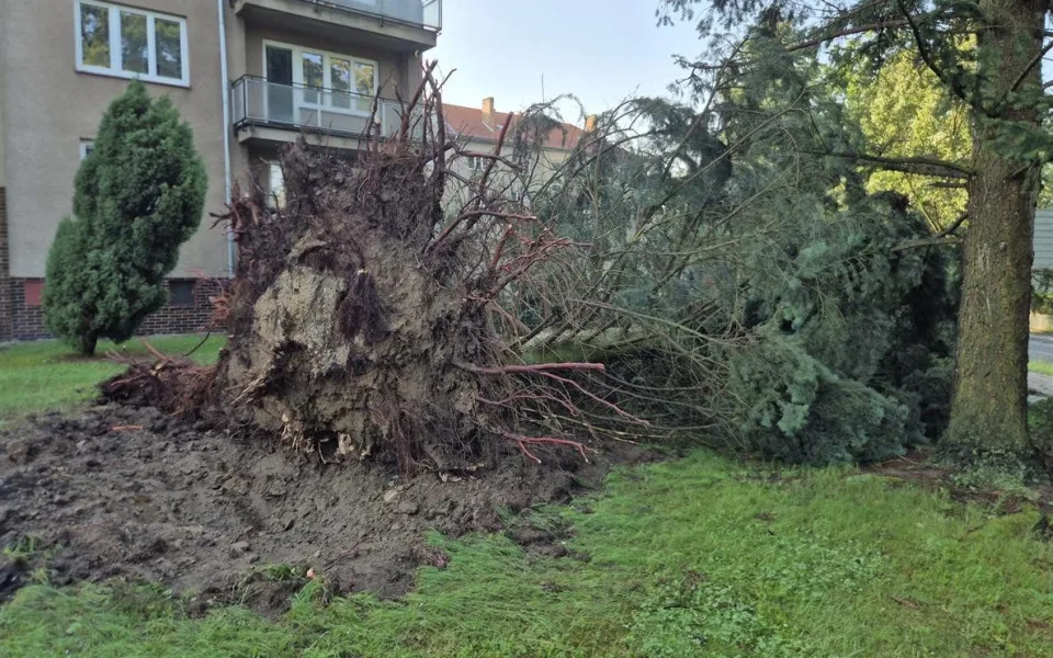 Vyvrácená stromořadí a poničené silnice. V Písku řeší následky víkendových bouří