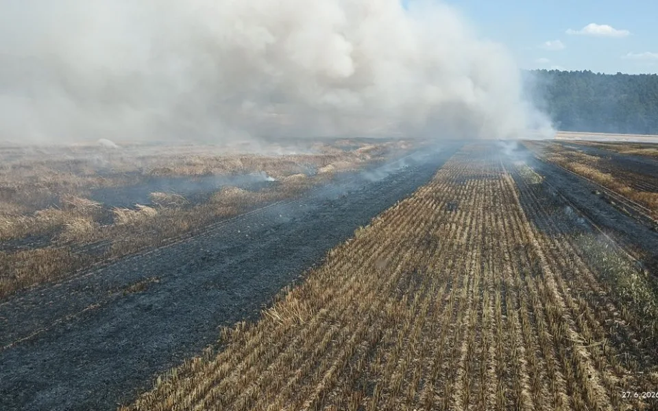 Požár pole na Strakonicku zaměstnal několik jednotek hasičů.