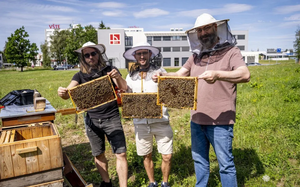 VŠTE pomáhá chránit včely bez chemie