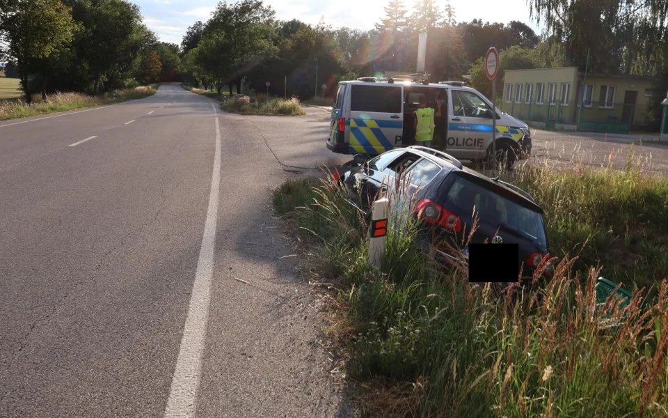 Sarančata v autě způsobila nehodu. Řidič po nečekaném útoku hmyzu vyjel ze silnice