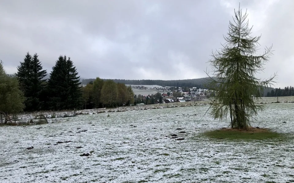 Na Šumavě mrzne i uprostřed léta. Dvě rána po sobě tam bylo výrazně pod nulou