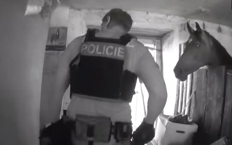 Agresor napadl svou příbuznou. Dojděte si pro mě, dohadoval se skrytý u koní