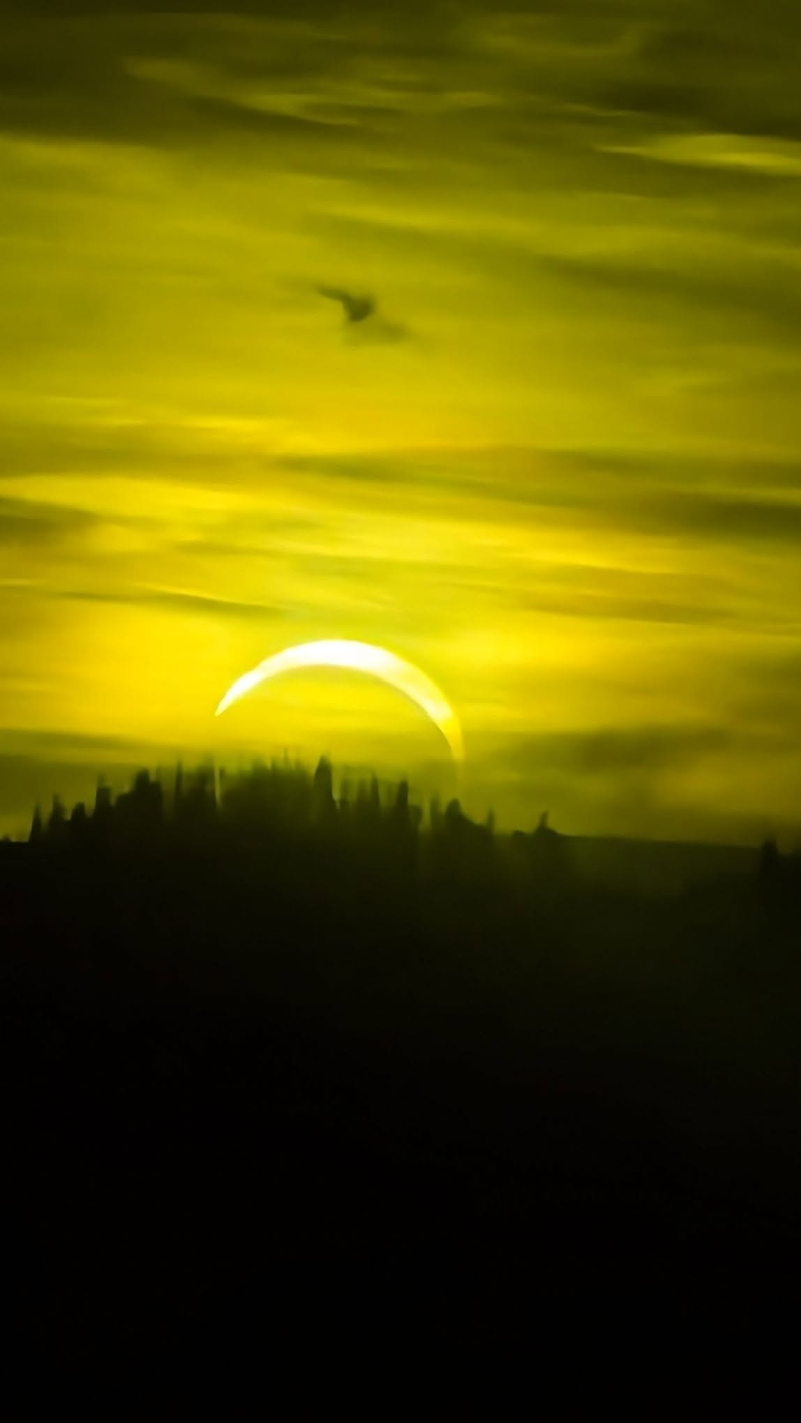 Zatmění Slunce očima našich čtenářů. Podívejte se na jejich úchvatné fotografie